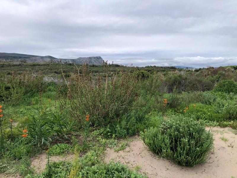 0 Bedroom Property for Sale in Franskraal Western Cape
